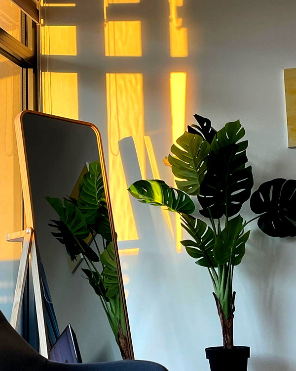 vixpolly.live instagram image archive image