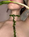 vixpolly.live Altpins Profile Picture