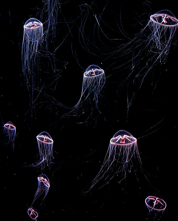 vngelbaby instagram image archive image
