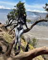 wchew_u Altpins Profile Picture