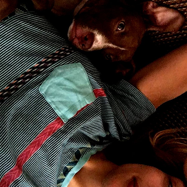 willowwbarbie instagram image archive image