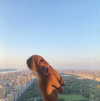 willowwbarbie Altpins Profile Picture