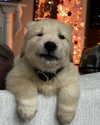 willowwbarbie Altpins Profile Picture