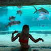 willowwbarbie Altpins Profile Picture