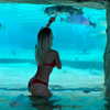willowwbarbie Altpins Profile Picture