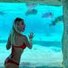 willowwbarbie Altpins Profile Picture