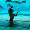 willowwbarbie Altpins Profile Picture