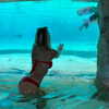 willowwbarbie Altpins Profile Picture