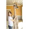 willowwbarbie Altpins Profile Picture