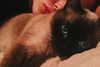wolfiecindy Altpins Profile Picture