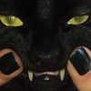 wolfiecindy Altpins Profile Picture