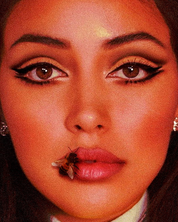 wolfiecindy instagram image archive image
