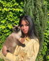 wolfiecindy Altpins Profile Picture