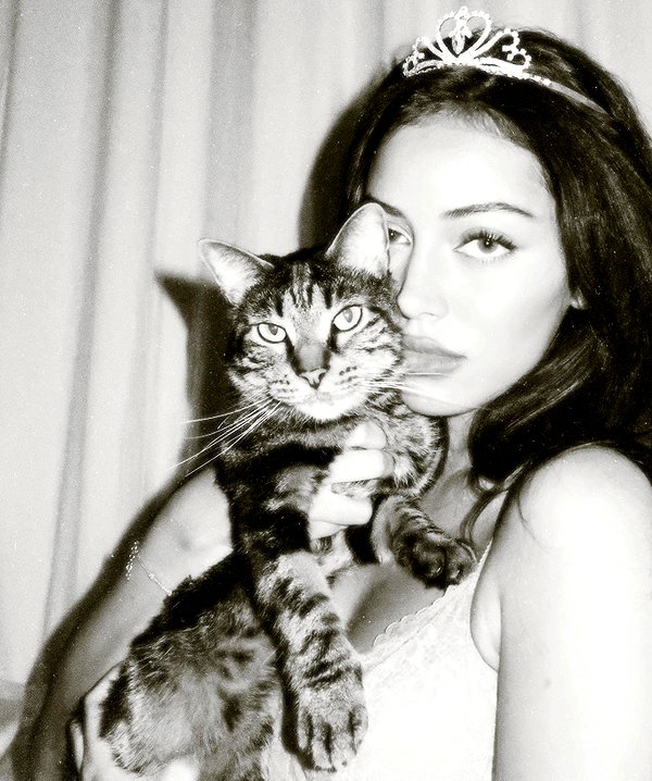 wolfiecindy instagram image archive image