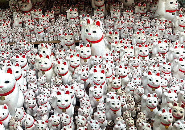 wolfiecindy instagram image archive image