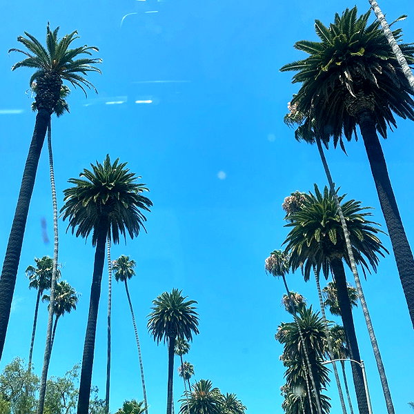 wolfiecindy instagram image archive image