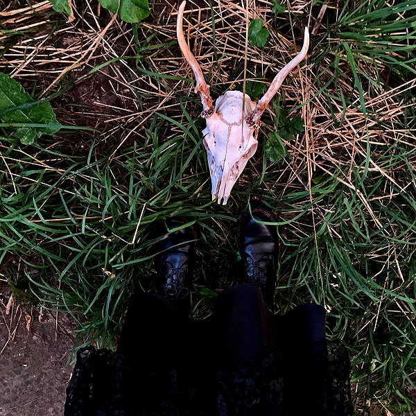 wormfood____ instagram image archive image