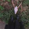 wormfood____ Altpins Profile Picture