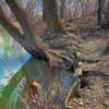 wormfood____ Altpins Profile Picture