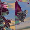 wormfood____ Altpins Profile Picture