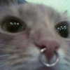 wormfood____ Altpins Profile Picture