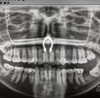 wormfood____ Altpins Profile Picture