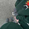wormfood____ Altpins Profile Picture