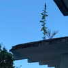 wormfood____ Altpins Profile Picture