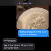 wormfood____ Altpins Profile Picture