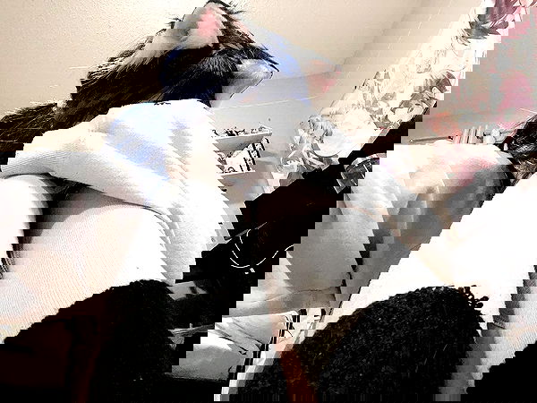 wuvkyu wuvkyu archive image