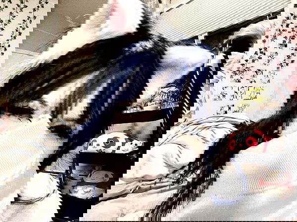 wuvkyu wuvkyu archive image