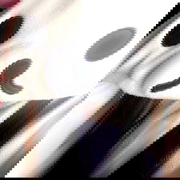 wuvkyu wuvkyu archive image