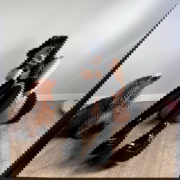 wuvkyu wuvkyu archive image