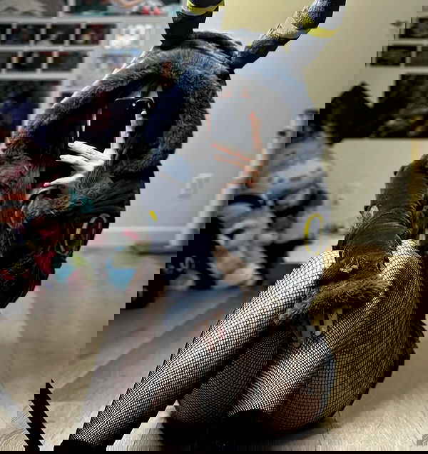 wuvkyu wuvkyu archive image