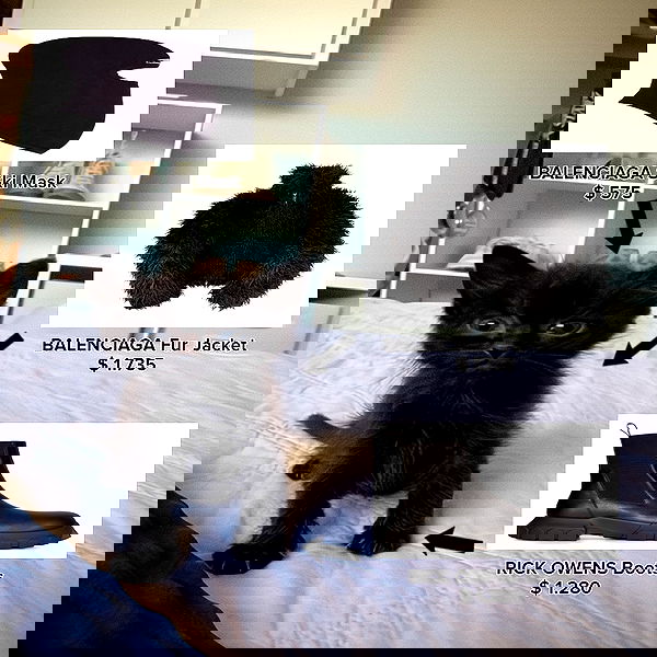 wuvkyu wuvkyu archive image