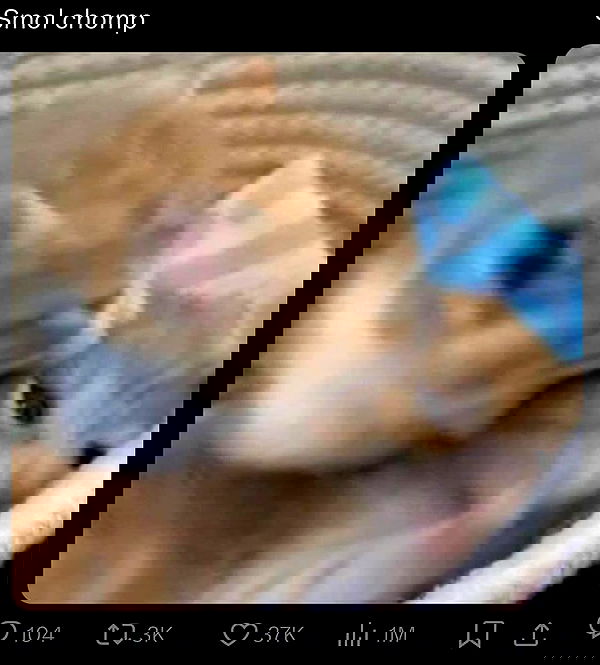 wuvkyu wuvkyu archive image