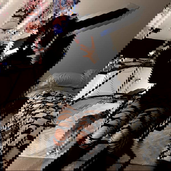 wuvkyu wuvkyu archive image