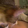 xec_frey Altpins Profile Picture