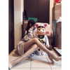 xialan1998 Altpins Profile Picture