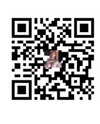 xixigina Altpins Profile Picture
