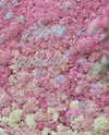 xixigina Altpins Profile Picture