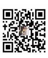 xixigina Altpins Profile Picture