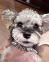 xixigina Altpins Profile Picture