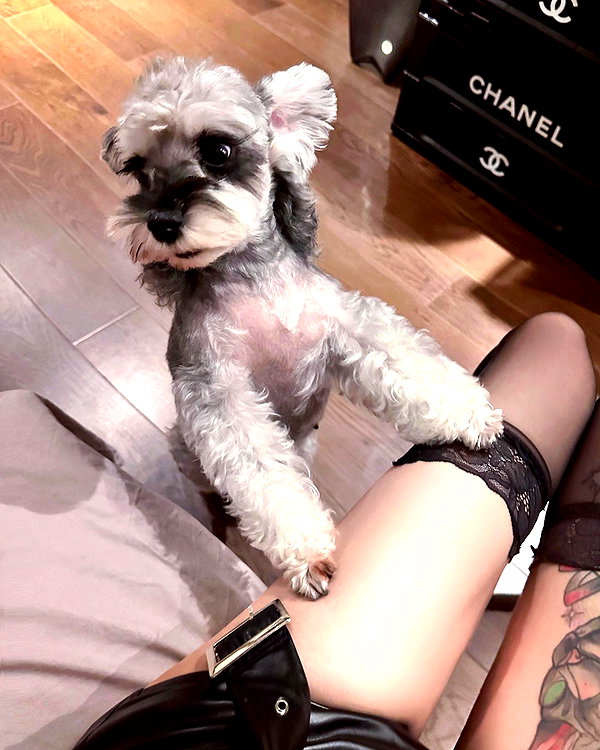 xixigina instagram image archive image