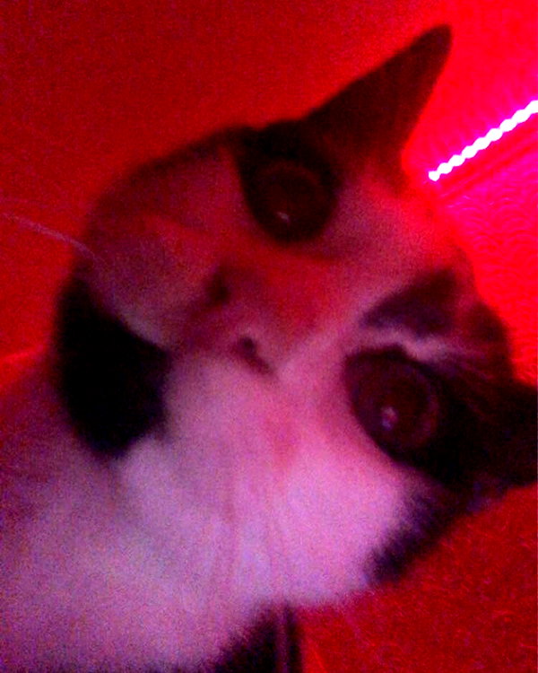 xkay.04x instagram image archive image