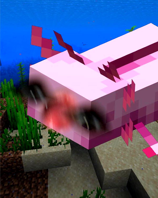 xkay.04x instagram image archive image