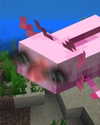 xkay.04x Altpins Profile Picture