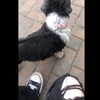 xkay.04x Altpins Profile Picture
