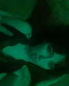 xkay.04x Altpins Profile Picture