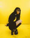 xowiejones Altpins Profile Picture